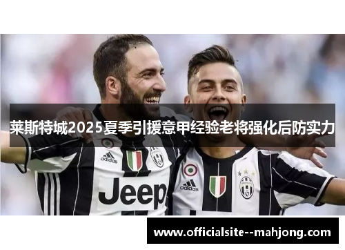 莱斯特城2025夏季引援意甲经验老将强化后防实力 莱斯特城2025夏季引援意甲经验老将强化后防实力