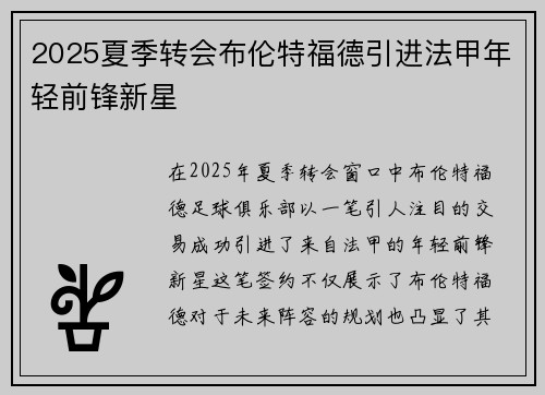 2025夏季转会布伦特福德引进法甲年轻前锋新星